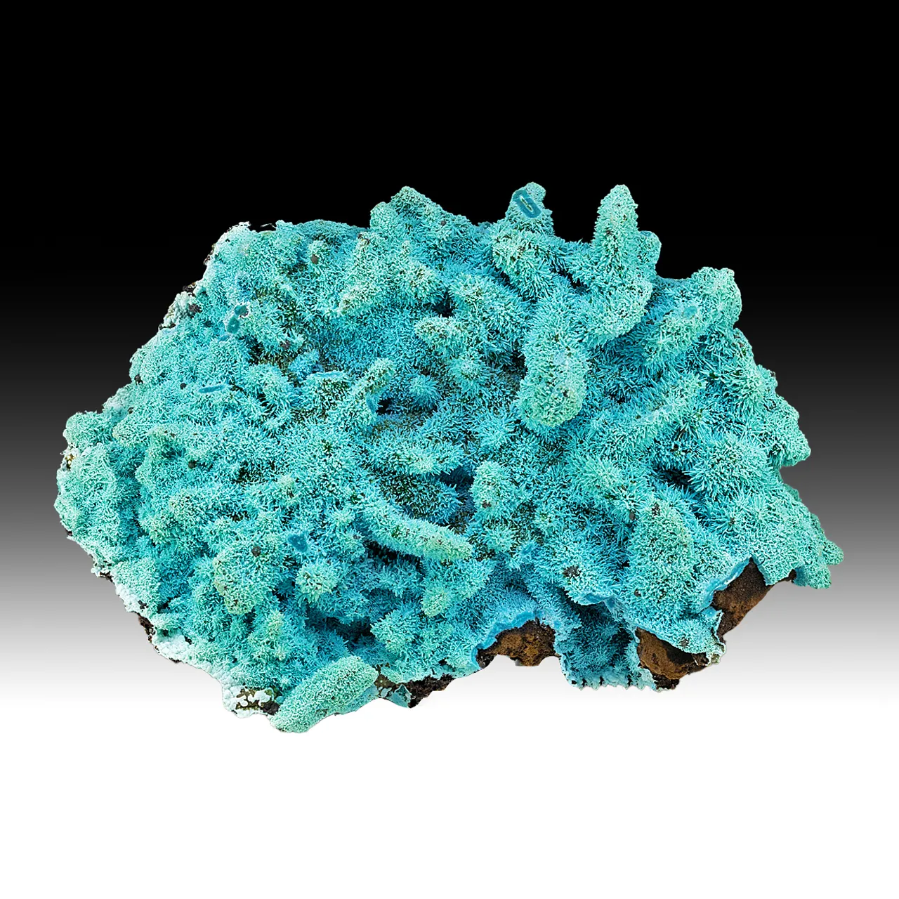 Chrysocolla pseudomorph - image 1