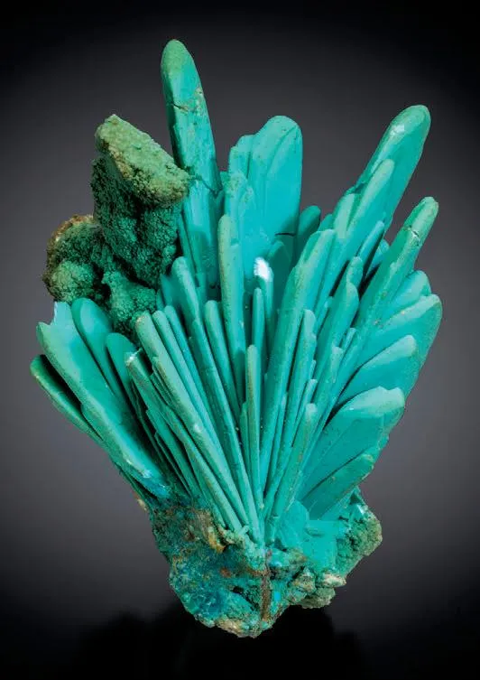 Chrysocolla pseudomorph after Azurite - image 1