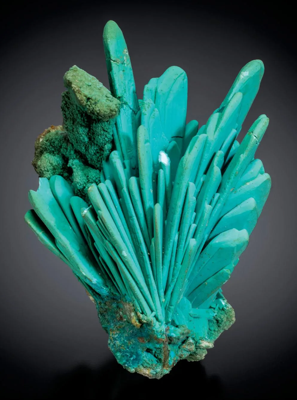 Chrysocolla pseudomorph after Azurite - image 2