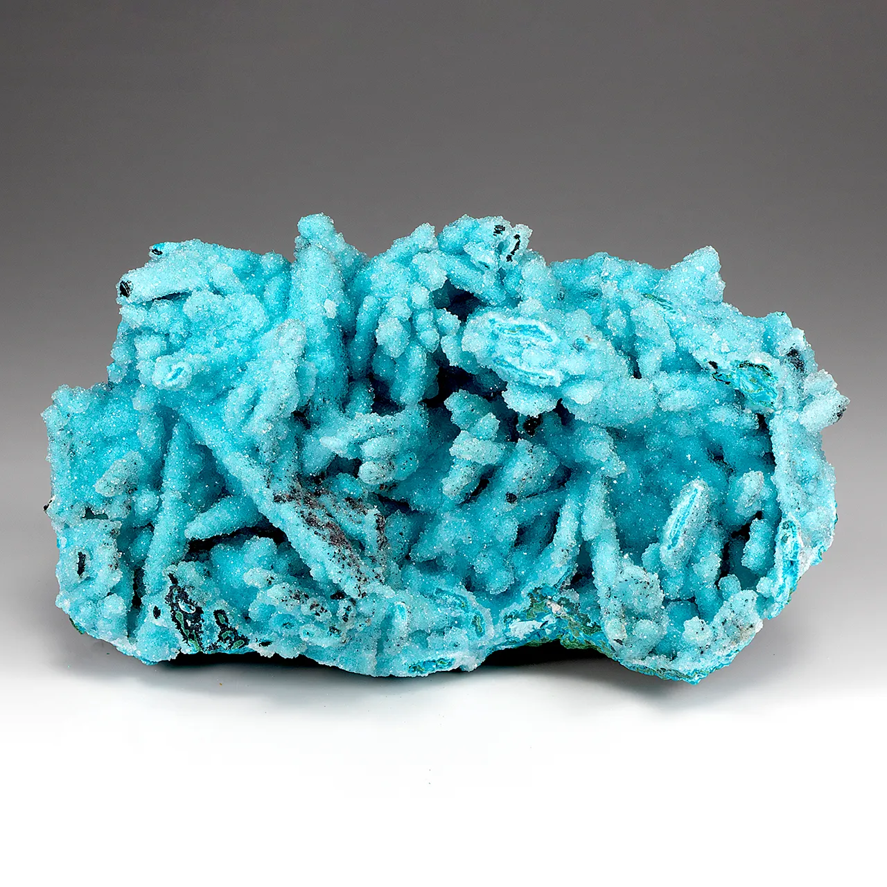 Chrysocolla pseudomorph with Malachite, Quartz - image 1