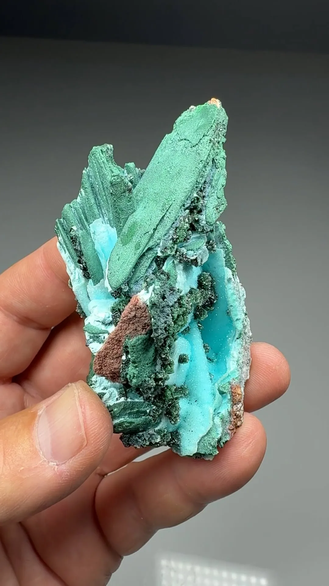 Chrysocolla pseudomorph with Malachite, Quartz - image 2