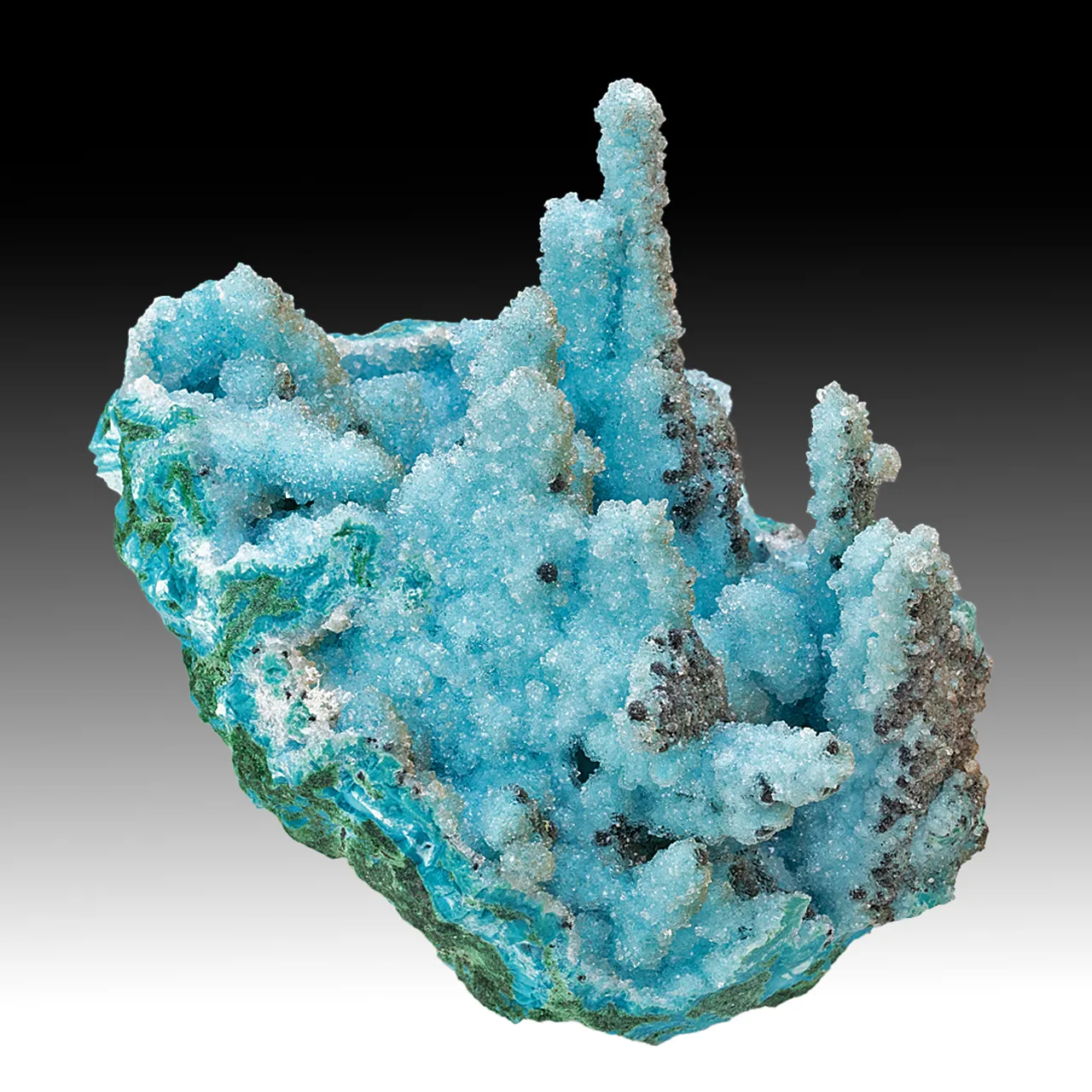 Chrysocolla pseudomorph with Malachite, Quartz - image 1
