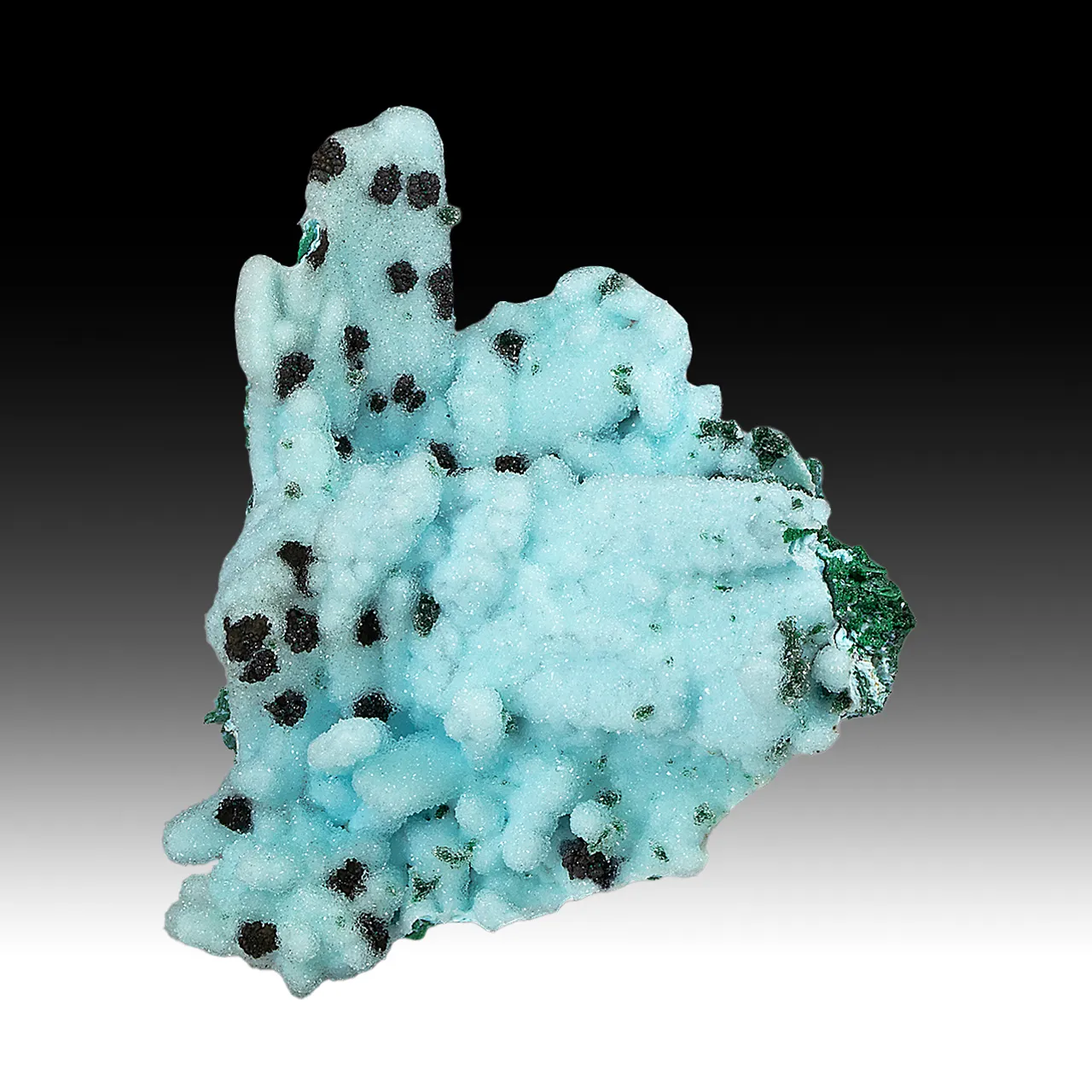 Chrysocolla pseudomorph with Malachite, Quartz - image 1