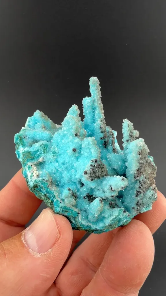 Chrysocolla pseudomorph with Malachite, Quartz - image 2
