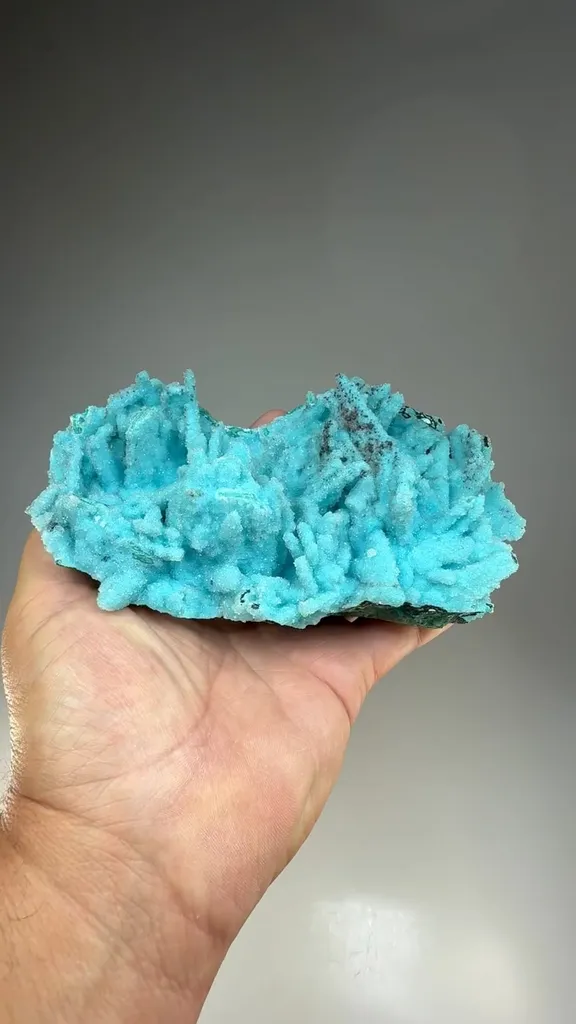 Chrysocolla pseudomorph with Malachite, Quartz - image 2
