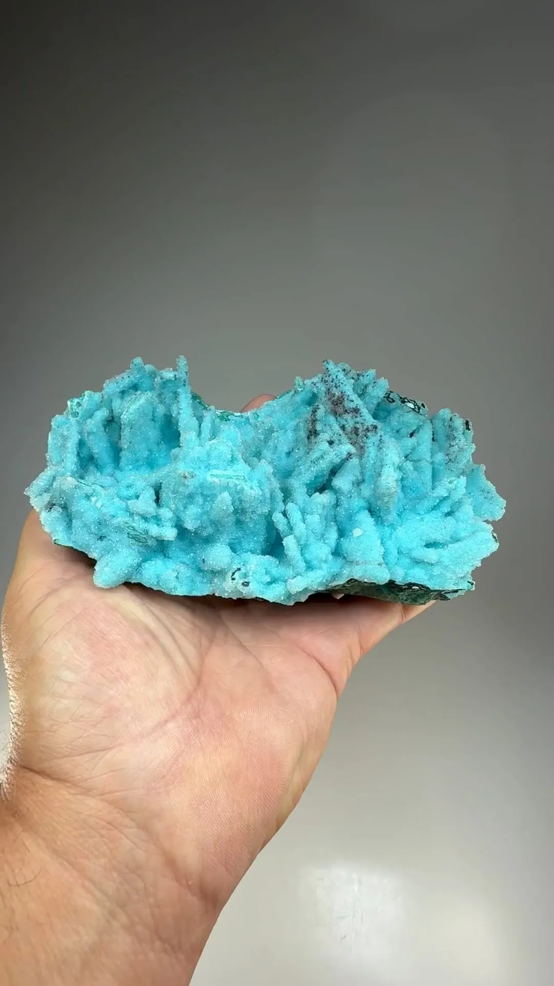 Chrysocolla pseudomorph with Malachite, Quartz - image 2