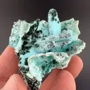 Chrysocolla pseudomorph with Malachite, Quartz - image 2