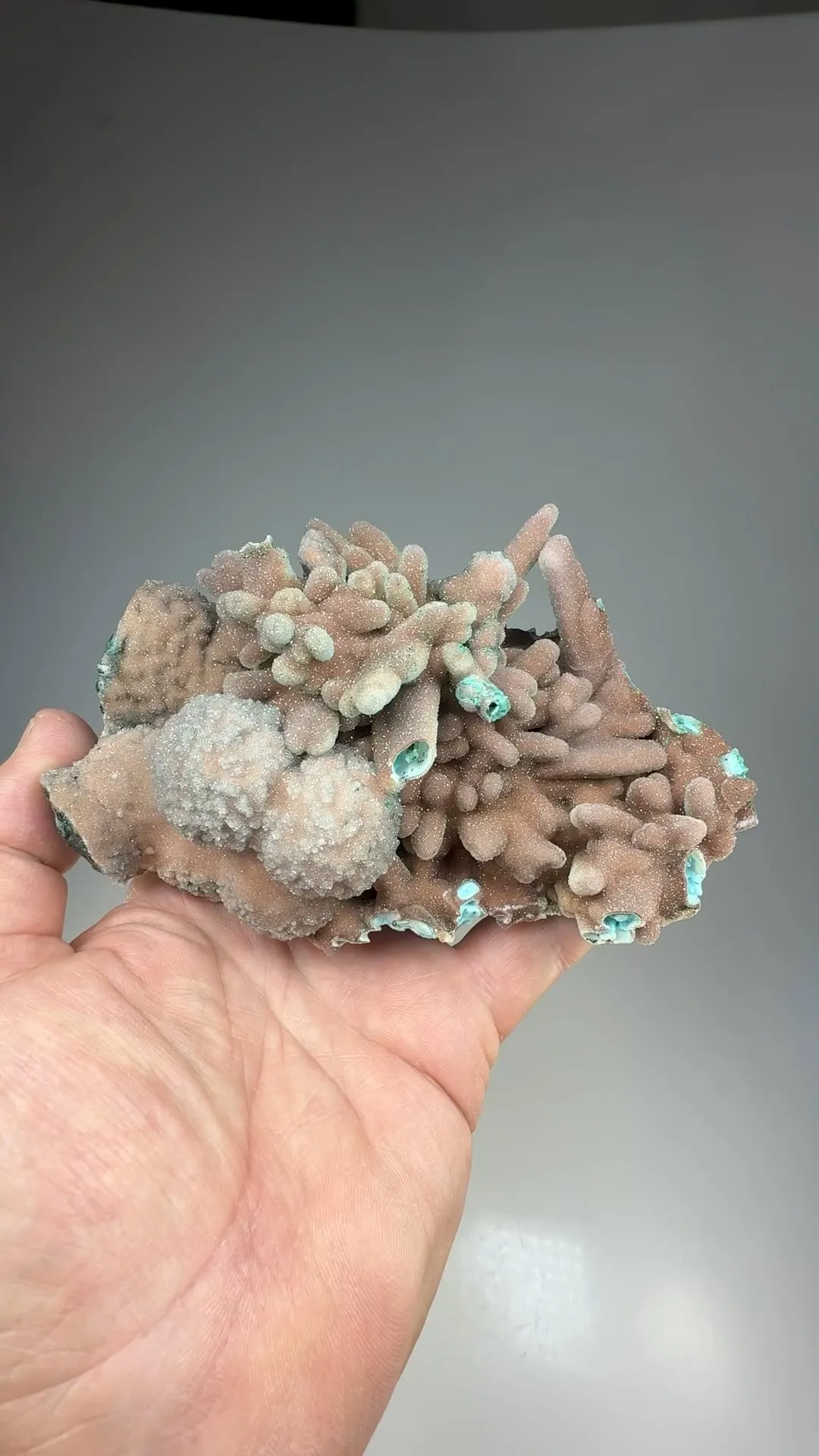 Chrysocolla pseudomorph with Malachite, Quartz - image 2