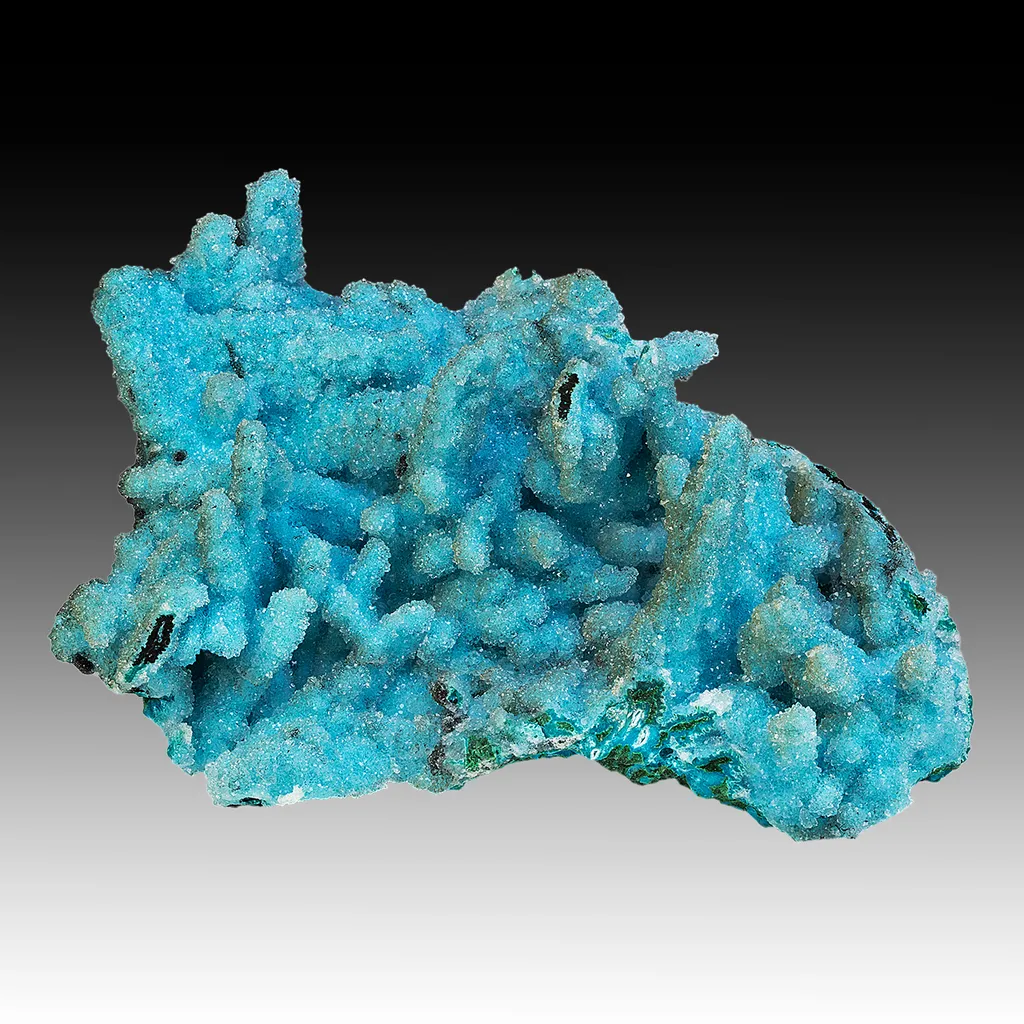 Chrysocolla pseudomorph with Malachite, Quartz image