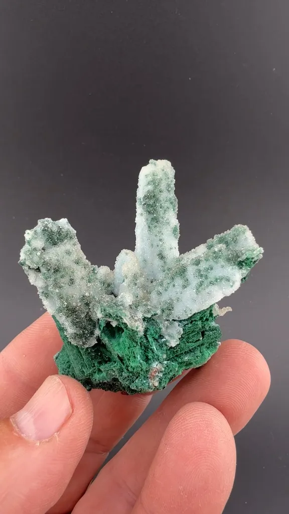 Chrysocolla pseudomorph with Malachite, Quartz - image 2