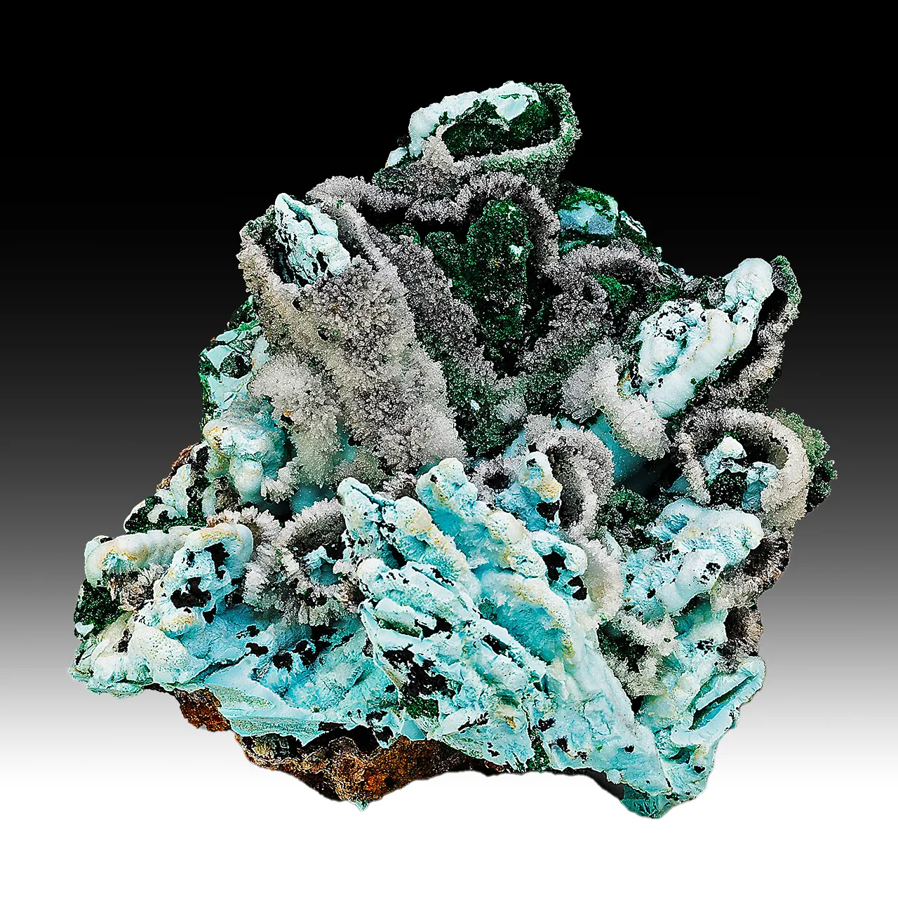 Chrysocolla pseudomorph with Malachite, Quartz - image 1