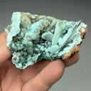 Chrysocolla pseudomorph with Malachite, Quartz - image 2
