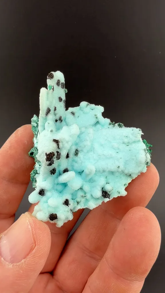 Chrysocolla pseudomorph with Malachite, Quartz - image 2