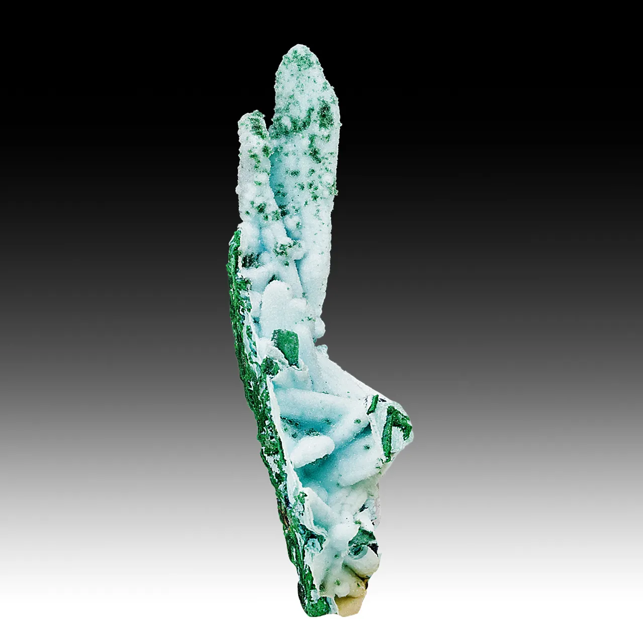 Chrysocolla pseudomorph with Malachite, Quartz - image 1