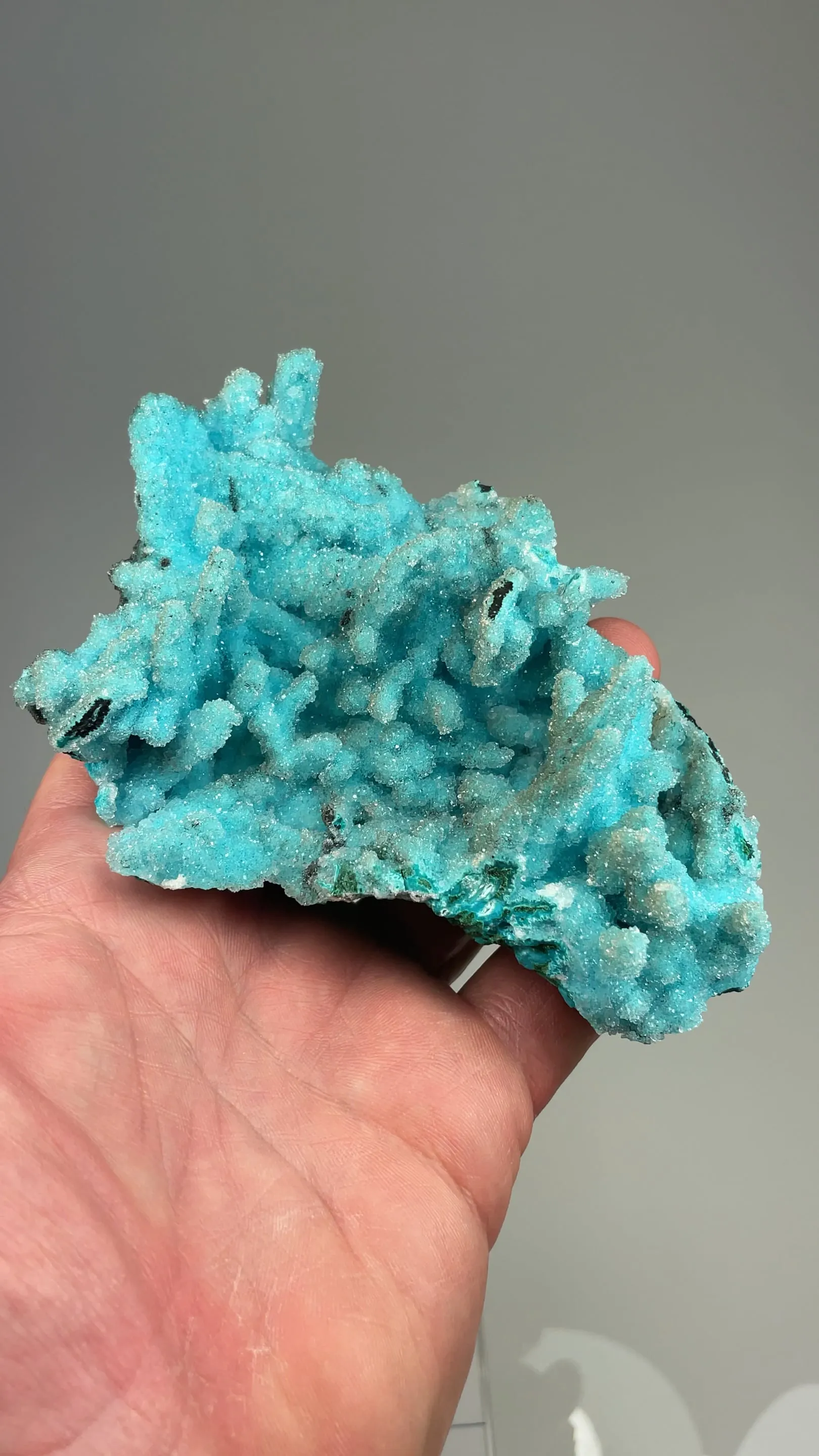 Chrysocolla pseudomorph with Malachite, Quartz - image 2