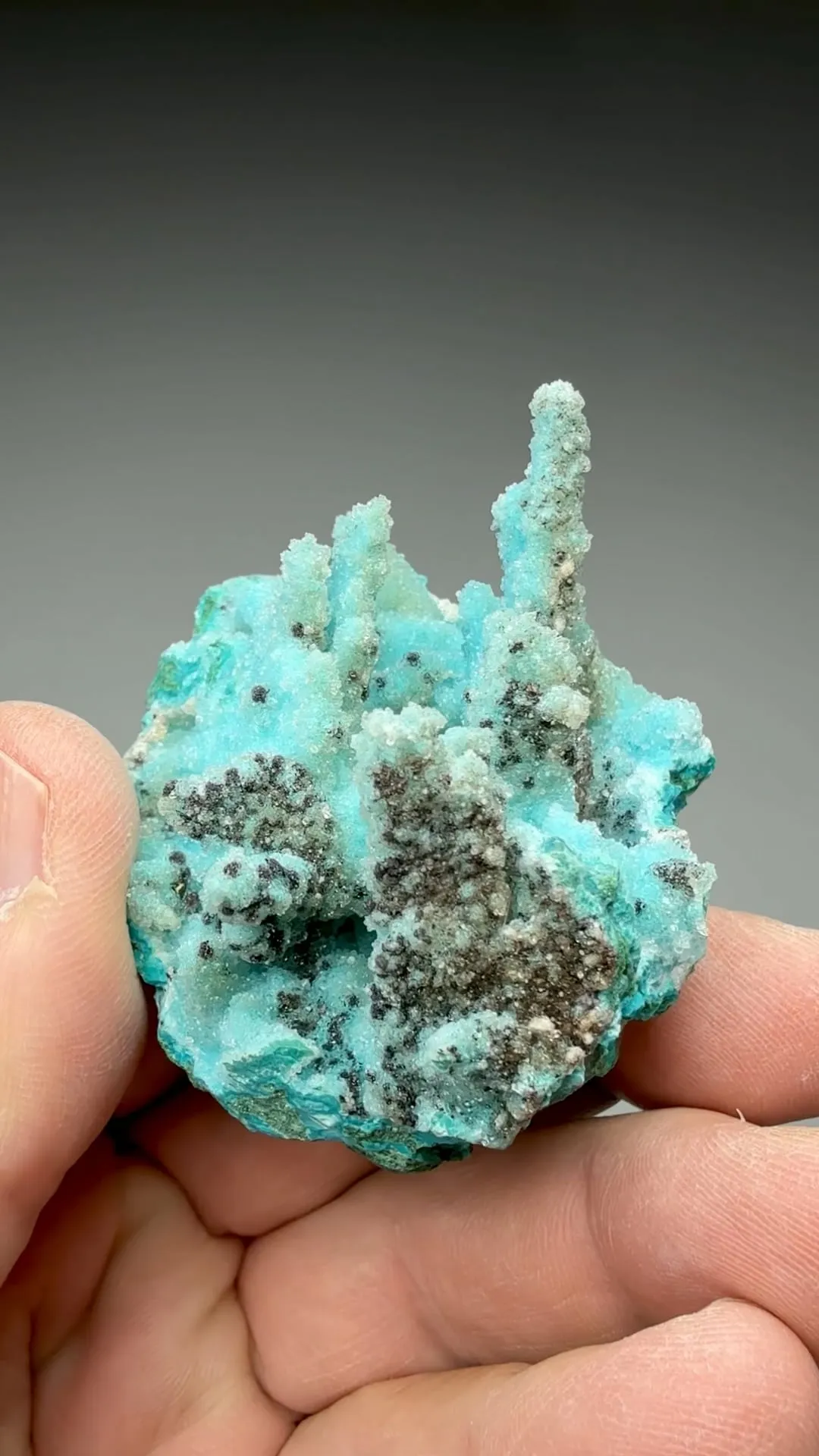Chrysocolla pseudomorph with Malachite, Quartz - image 2