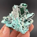 Chrysocolla pseudomorph with Malachite, Quartz - image 2