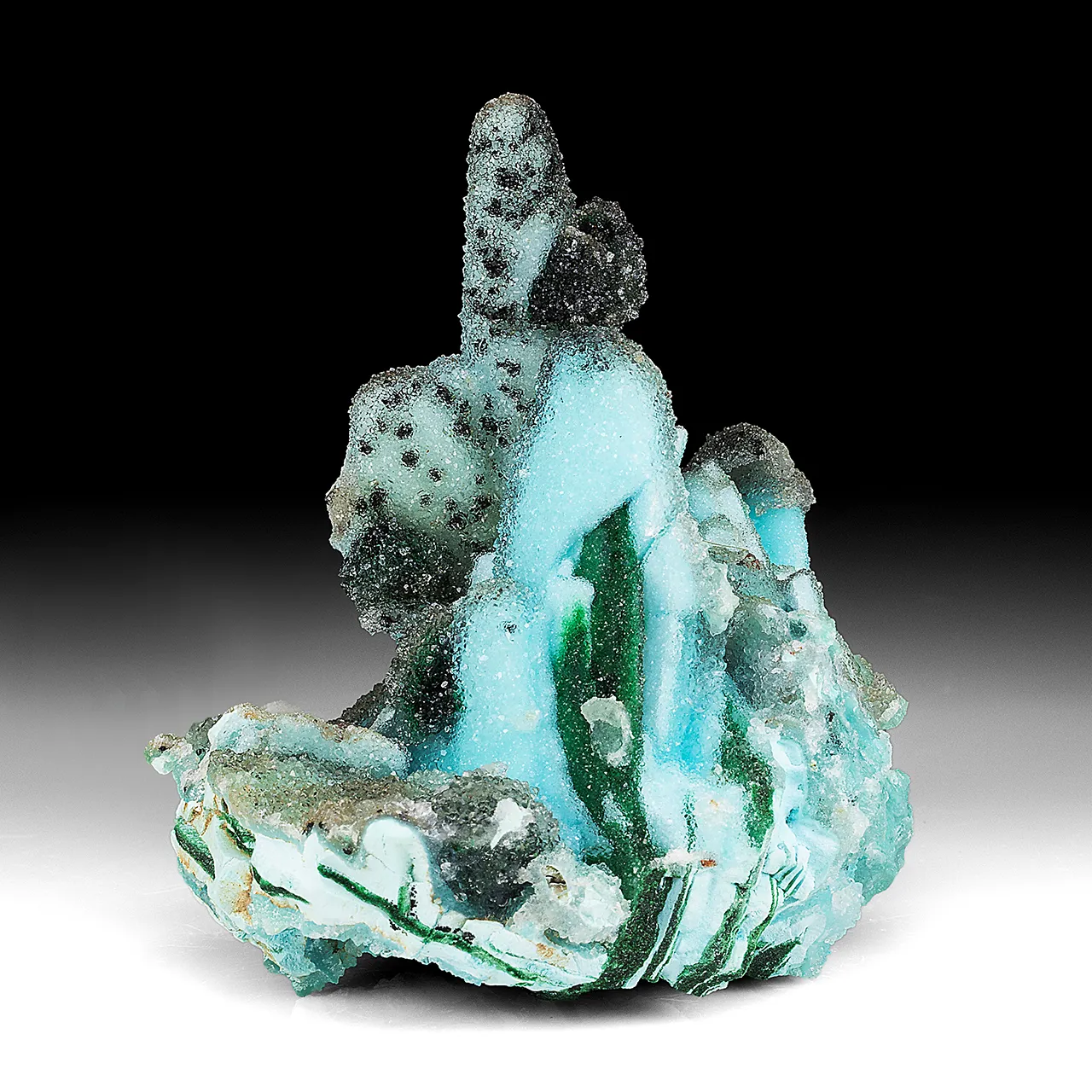 Chrysocolla pseudomorph with Malachite, Quartz - image 1
