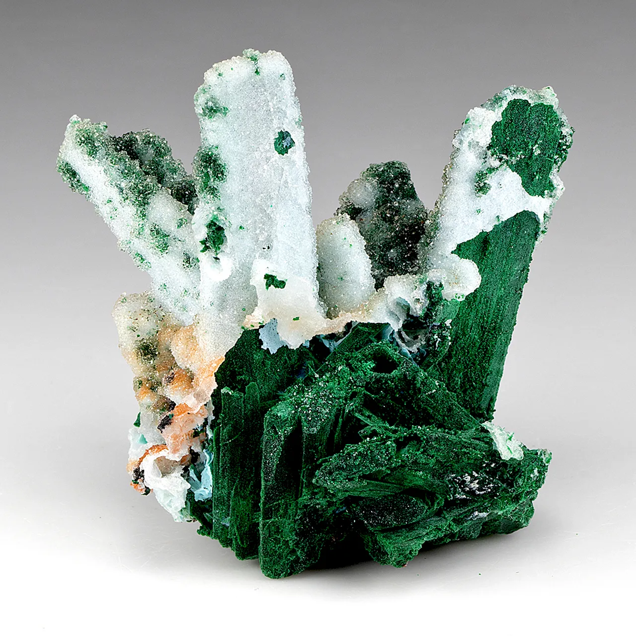 Chrysocolla pseudomorph with Malachite, Quartz - image 1