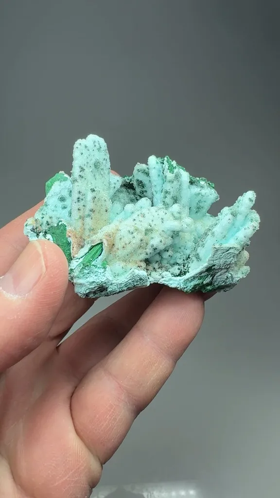 Chrysocolla pseudomorph with Malachite, Quartz - image 2