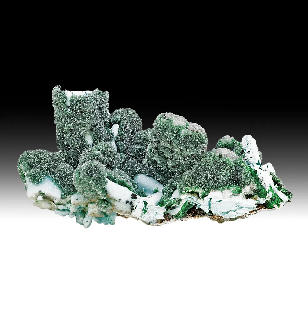 Chrysocolla pseudomorph with Malachite, Quartz image