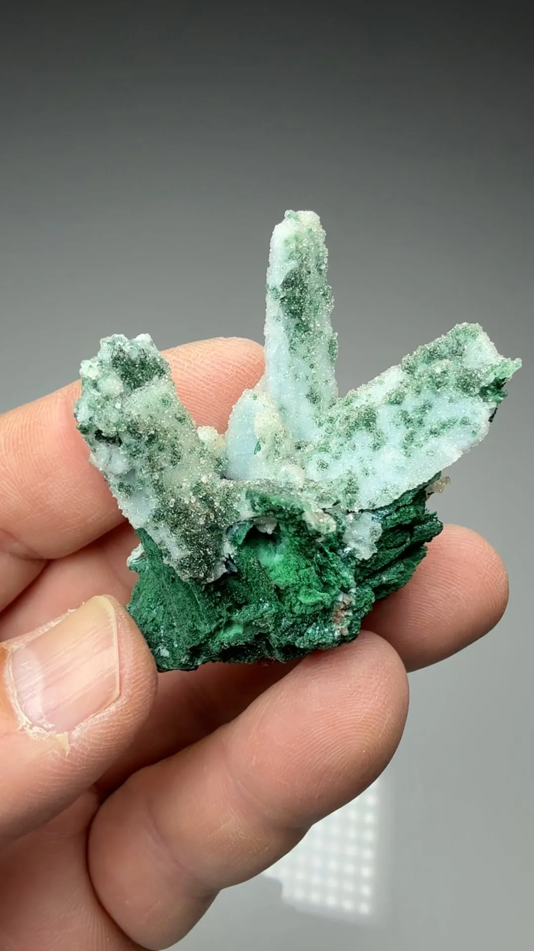 Chrysocolla pseudomorph with Malachite, Quartz - image 2