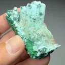 Chrysocolla pseudomorph with Malachite, Quartz - image 2