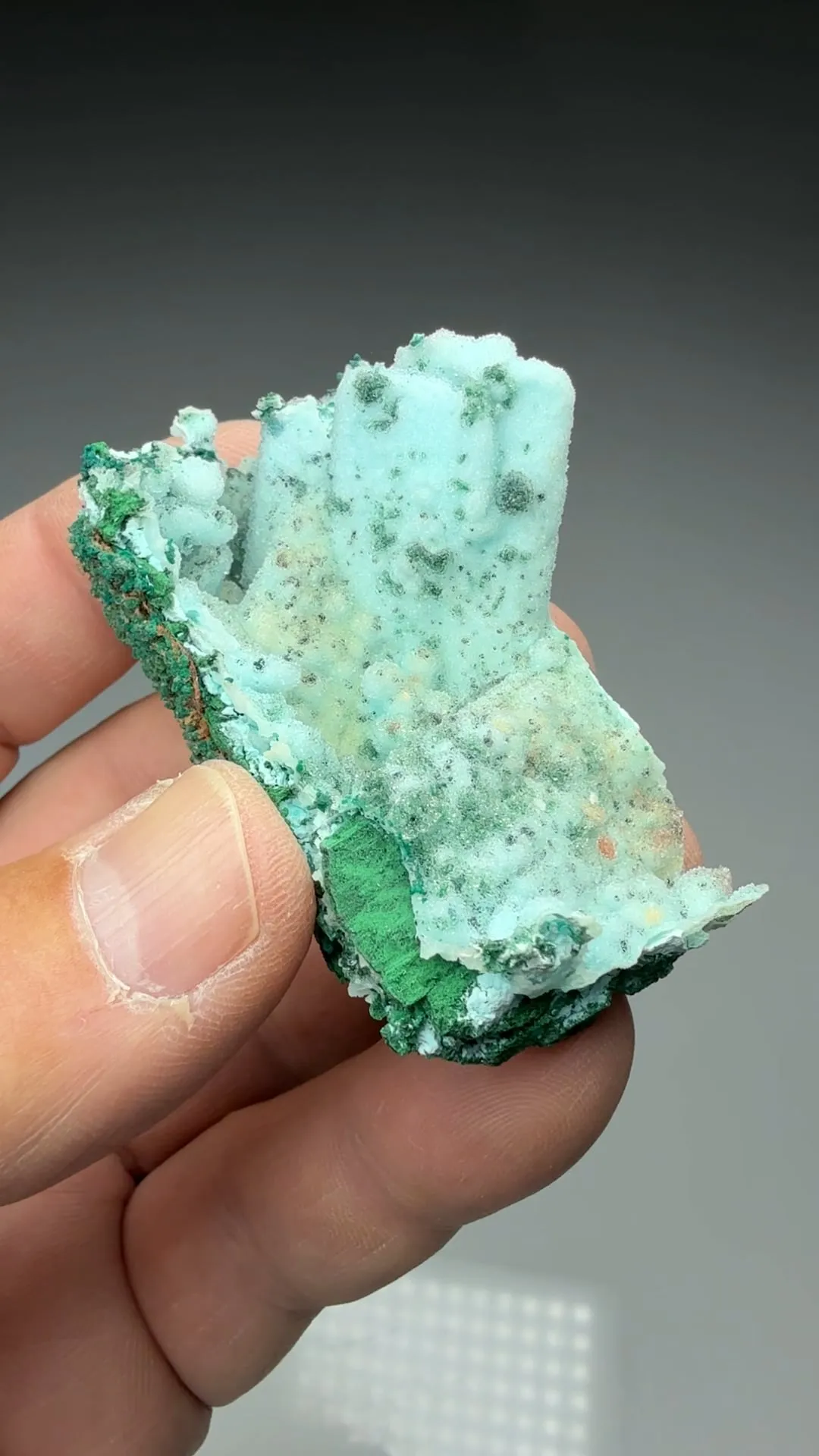 Chrysocolla pseudomorph with Malachite, Quartz - image 2