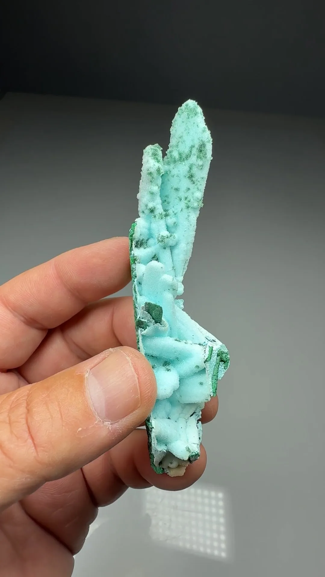 Chrysocolla pseudomorph with Malachite, Quartz - image 2