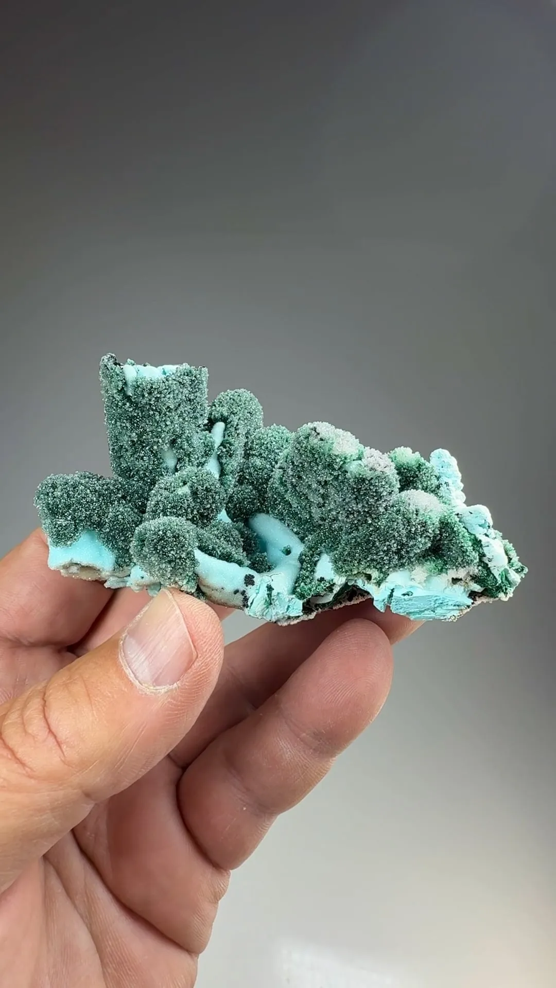Chrysocolla pseudomorph with Malachite, Quartz - image 2