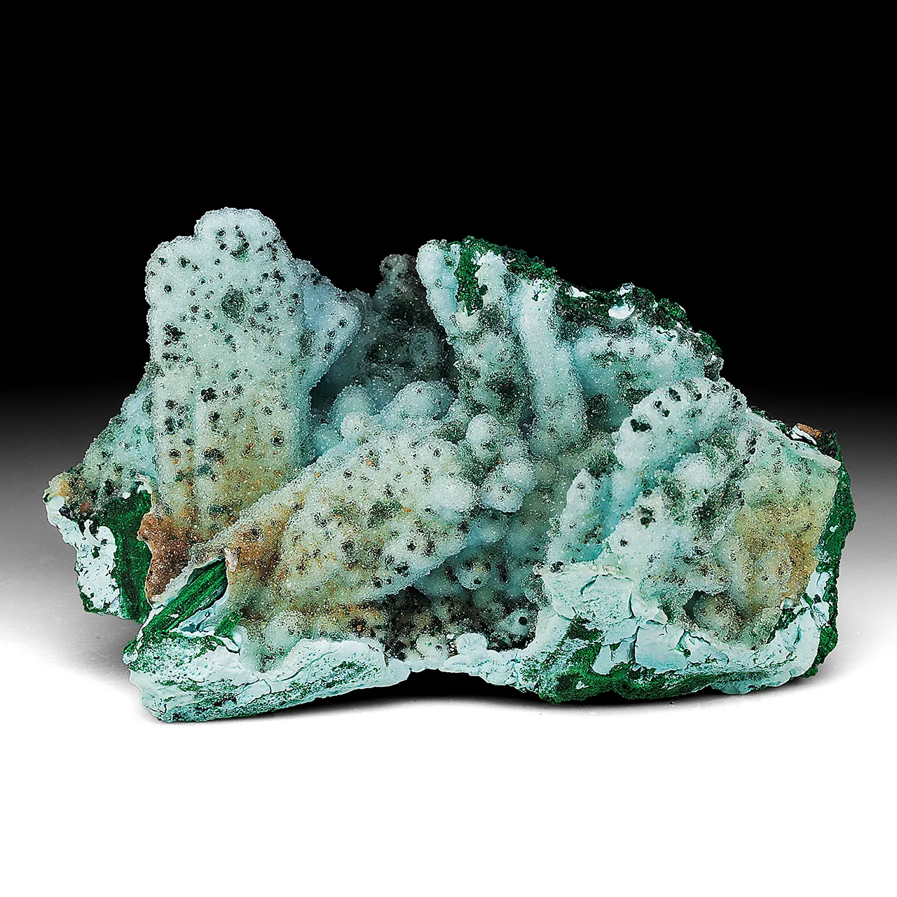 Chrysocolla pseudomorph with Malachite, Quartz - image 1
