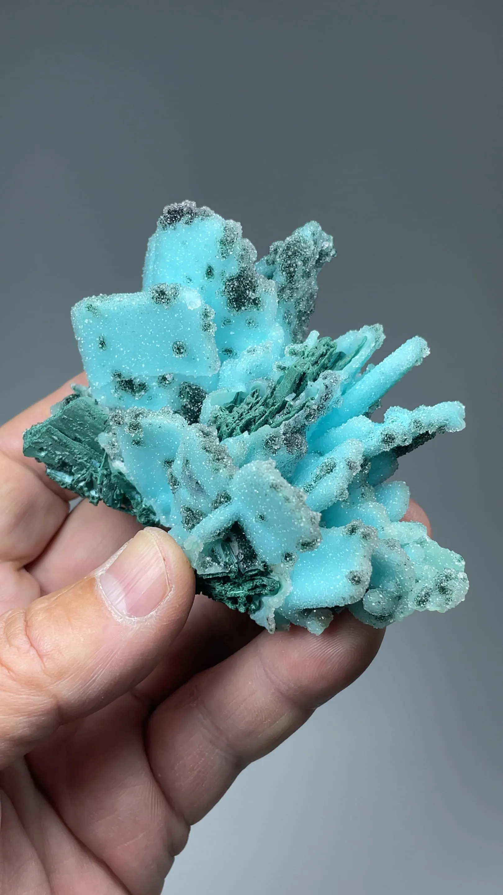 Chrysocolla with Malachite after Azurite, Quartz - image 2