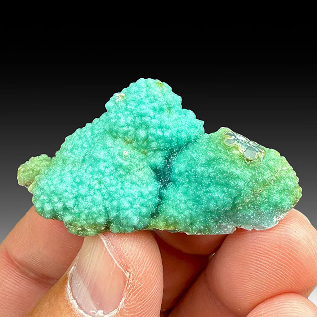 Chrysocolla with Quartz image
