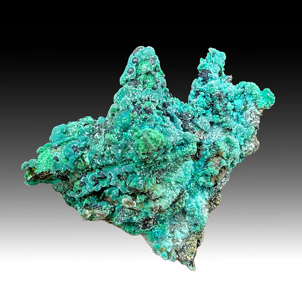 Chrysocolla with Quartz image