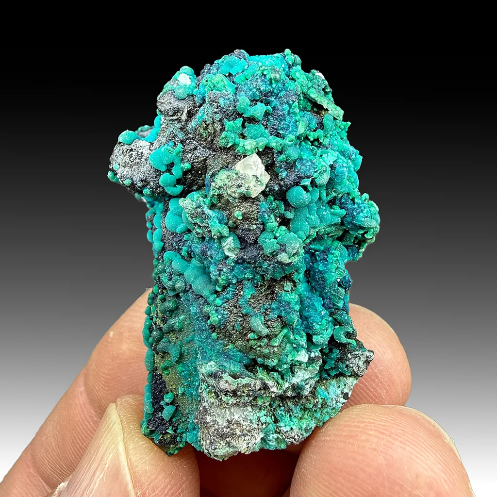 Chrysocolla with Quartz image