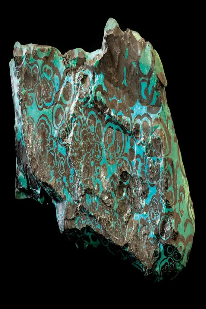 Chrysocolla with tenorite image