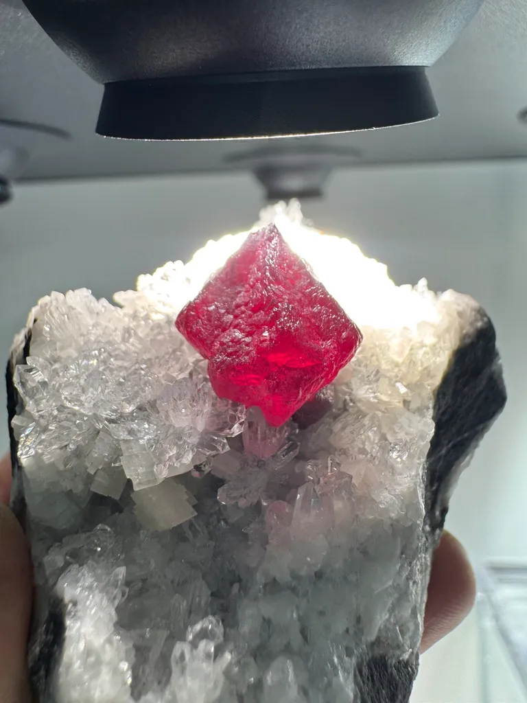 Cinnabar - image 3