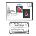 Cinnabar - image 5