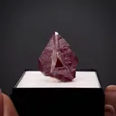 Cinnabar - image 3
