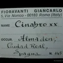 Cinnabar and Calcite - image 5