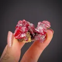 Cinnabar - image 2