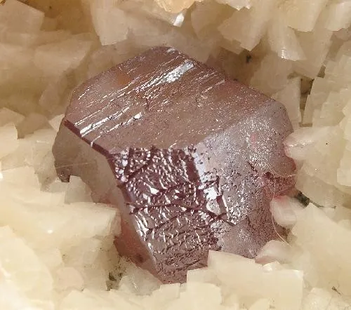 Cinnabar, Dolomite - image 2