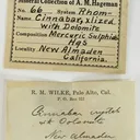 Cinnabar, Dolomite - image 4