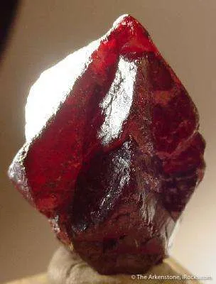 Cinnabar (Drillbit Twin) - image 2