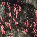 Cinnabar, Manganite - image 2