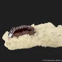 Cinnabar on Dolomite - image 8