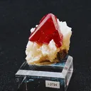 specimen video