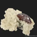 Cinnabar on Dolomite - image 5