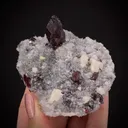 Cinnabar on Quartz with Dolomite (1990s) - image 2