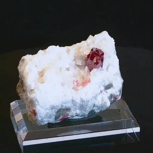 specimen video